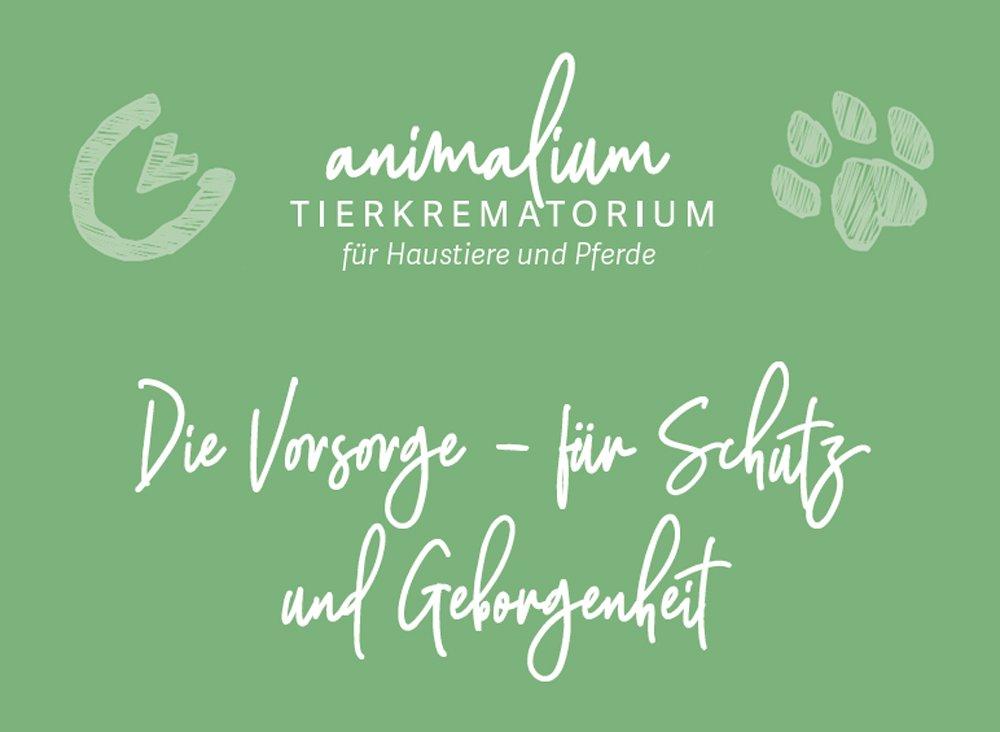 Vorsorge für Tierhalterinnen und Tierhalter – Sicherheit, wenn der Abschied kommt