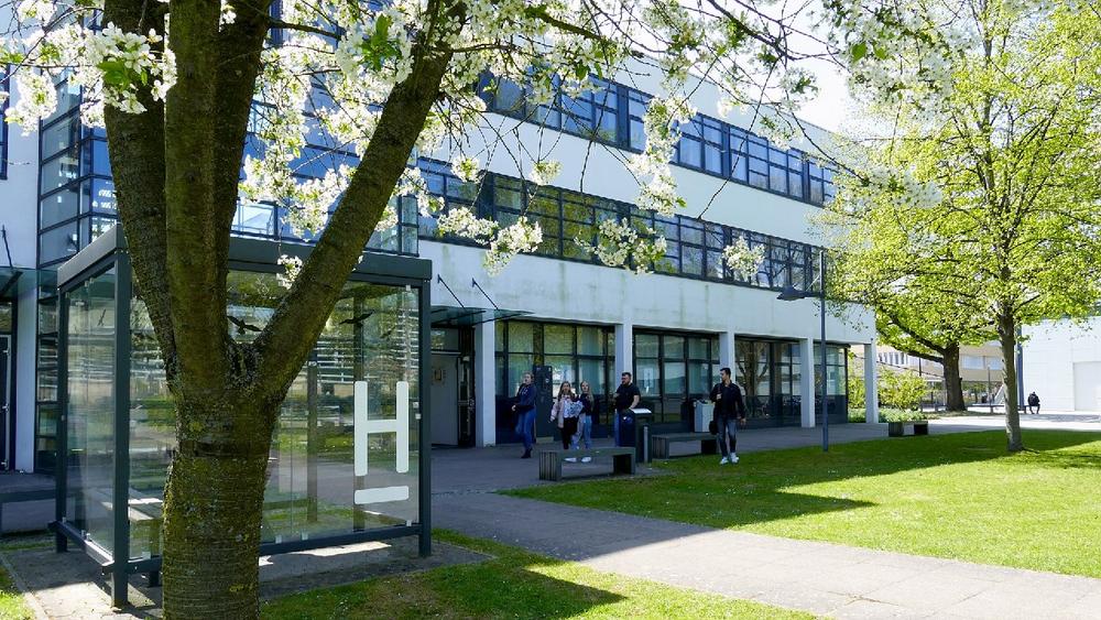 Nachhaltigkeitsbericht 2025: Hochschule Hannover zeigt Fortschritte bei Klima- und Ressourcenschutz