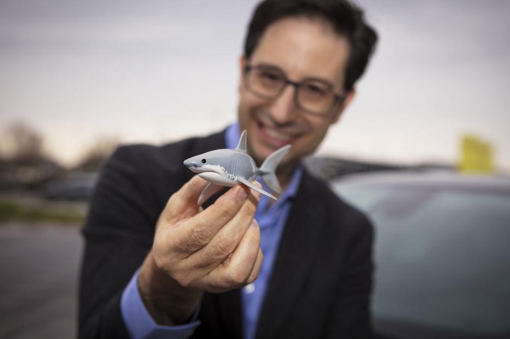 Von großen und von kleinen Fischen: Haie sind bei Opel Kult