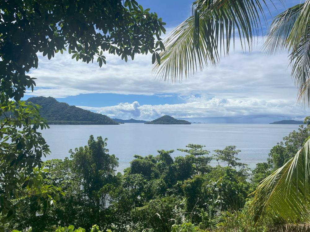 Sankamap Metals: On the trail of the last major copper-gold targets!