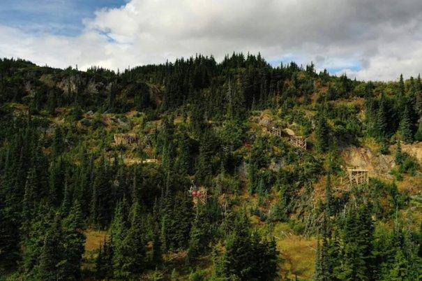 Digitaler Euro und Gold