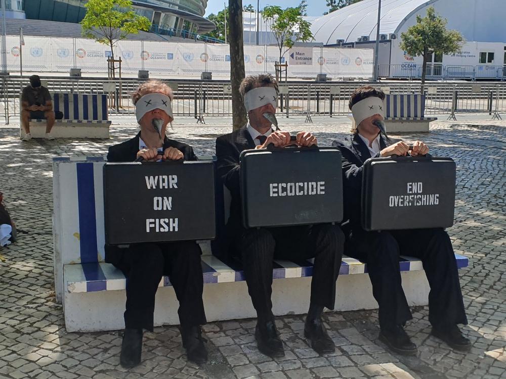 Neuer MSC-Standard für nachhaltigen Fisch und Meeresfrüchte – Blaue Zukunft oder blaues Scheitern?