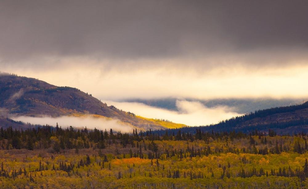 Sitka Gold: Up to 14.55 g/t Gold – Eiger Deposit Continues to Grow!