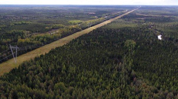 Batteriemetalle – den Anschluss nicht verpassen