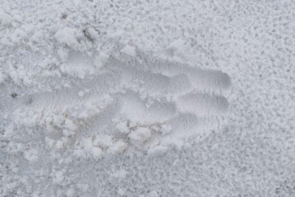 Rockstone News – Wenn Quarzsand strategisch wird: Von Natur aus ultrarein, durch Design transformativ