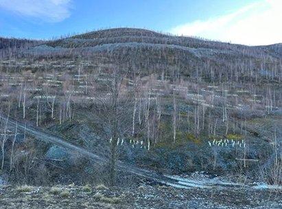 Die E-Mobilität braucht Rohstoffe