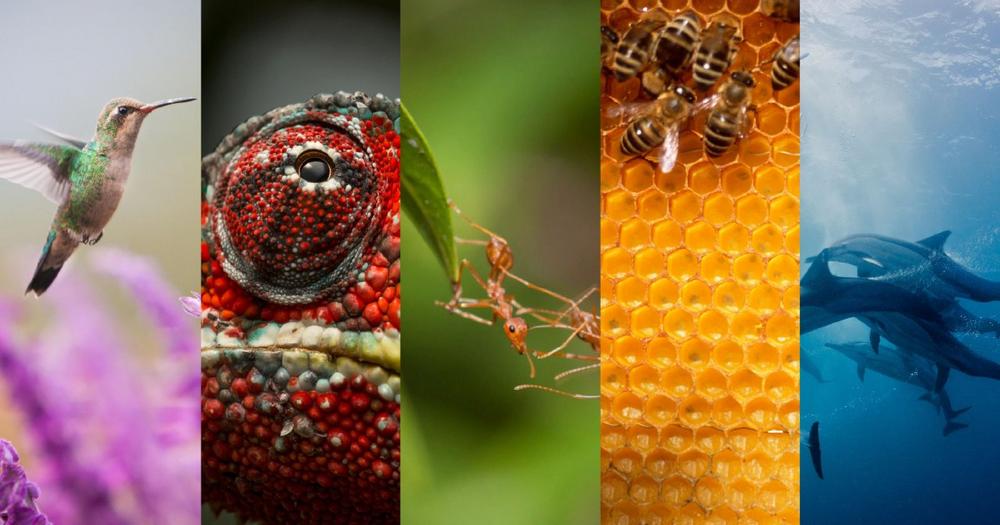 Kostensenkung und Wertsteigerung von Investitionsprojekten mit ABB Adaptive Execution™