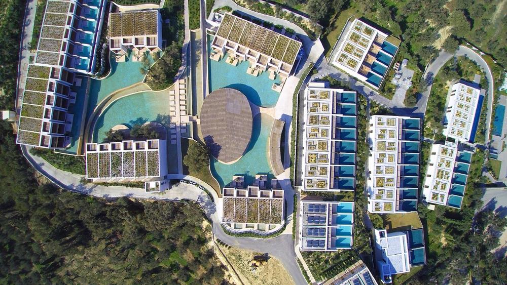 Relaxation in verdant surrounds, row for row