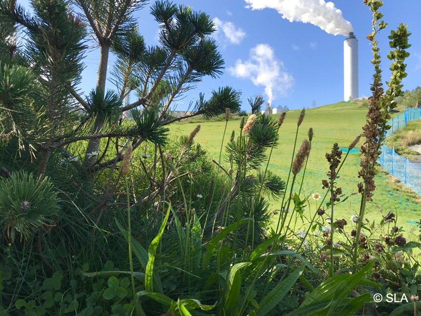 Skiberg statt Müllberg