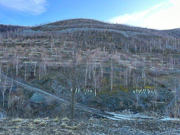 Aurania signs MOU with RSA s.r.l. and Firestone Ventures Inc. to evaluate potential critical metals project in Europe