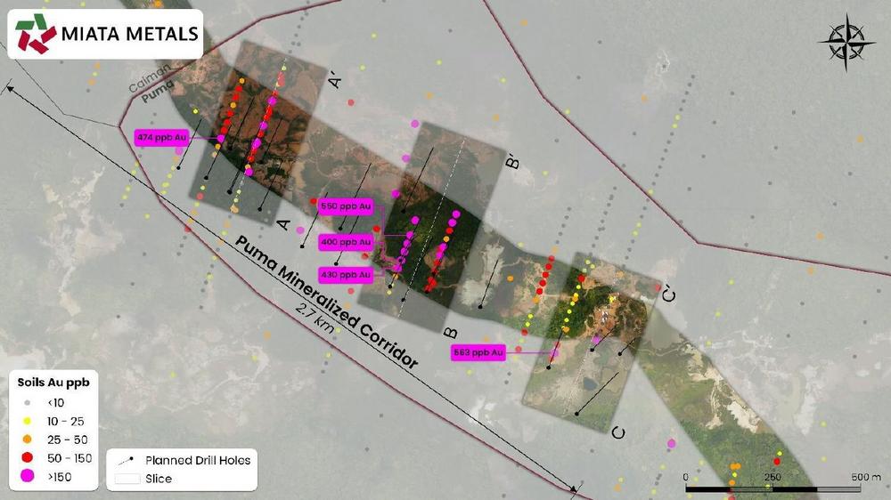 Miata Metals Highlights Puma Target Drilling Plan on Sela Creek Gold Project, Suriname