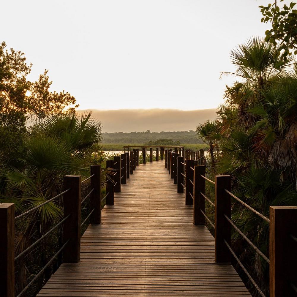 Introducing Six Hotels Embracing the Future of Travel