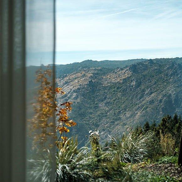 Consciously Connecting with Nature