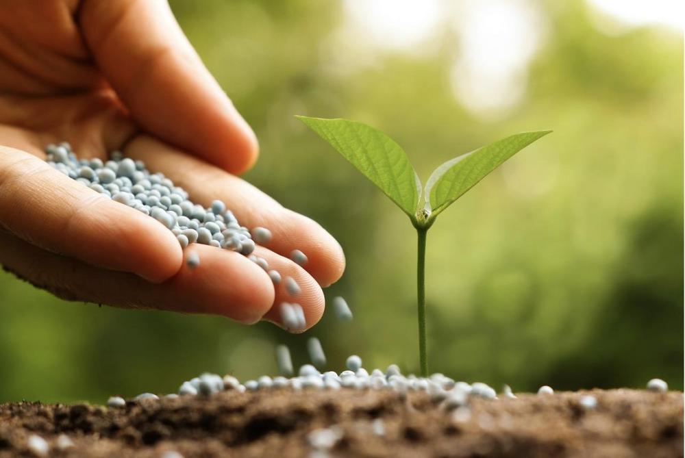 Kooperationsvereinbarungen zwischen den USA und Gabun verschaffen dieser Firma den richtigen Power-Push!