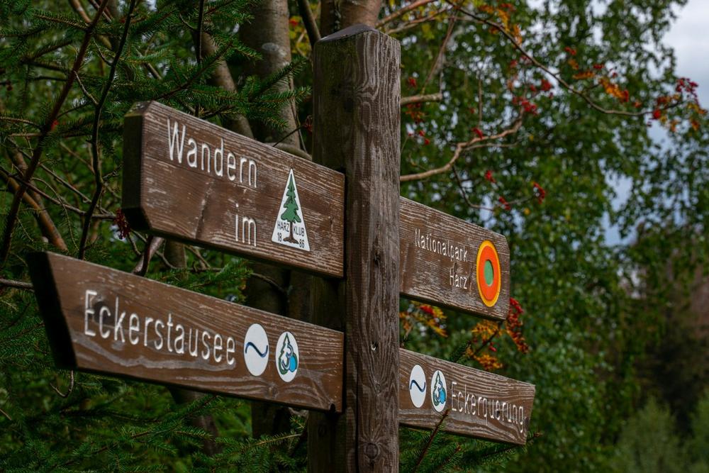 Ist der Bärlauch schon da?