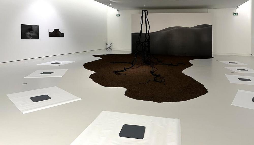 Zwischen Stich und Linie – Achtsames Zeichnen in der Ausstellung mit Anne Nilges