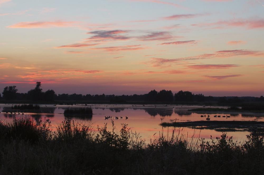 Saisonstark im Naturpark Steinhuder Meer