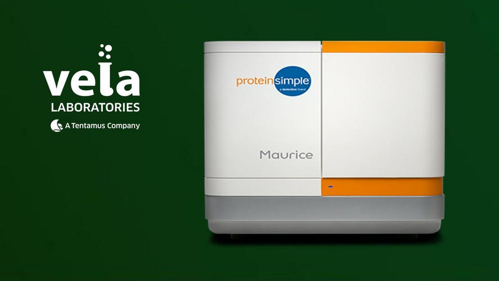 Implementation of a bioanalytical control device for routine measurement of drug products at VelaLabs