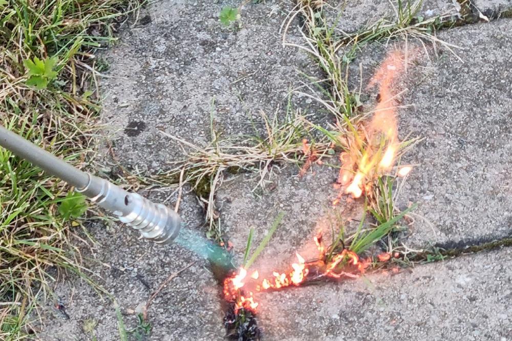 Unkrautbekämpfung kann verheerende Folgen haben