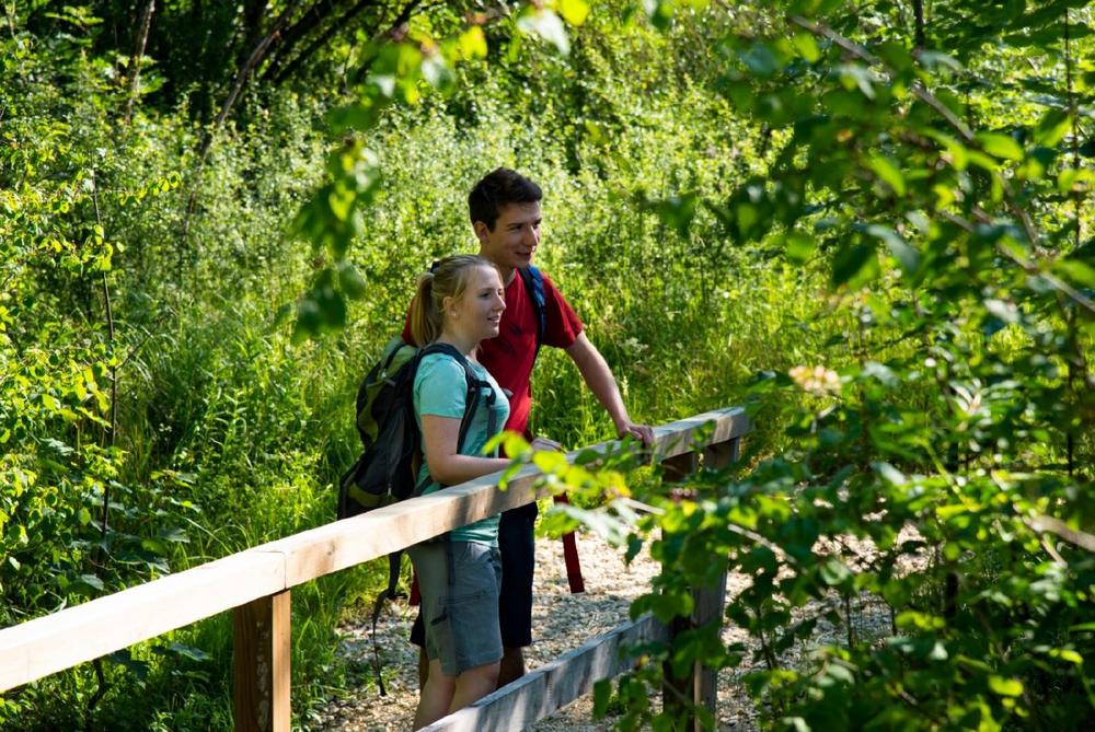 Premiumwanderweg DonAuwald – Klimaschonendes Wandererlebnis von Anfang an