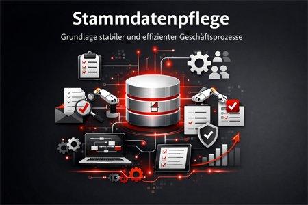 Stammdatenpflege – Grundlage stabiler und effizienter Geschäftsprozesse