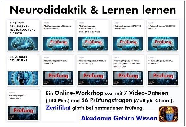 Neurodidaktik neu gedacht – Online-Workshop für zukunftsorientierte Trainer, Coaches und Bildungsprofis