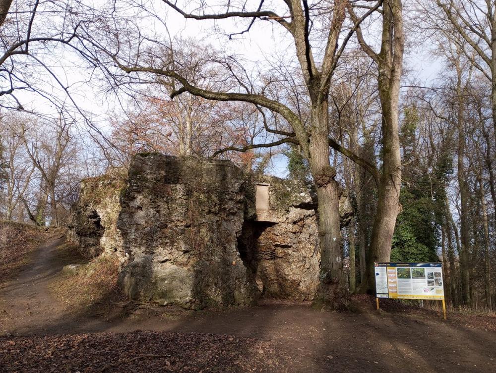 Geoparkführung auf der Marienhöhe