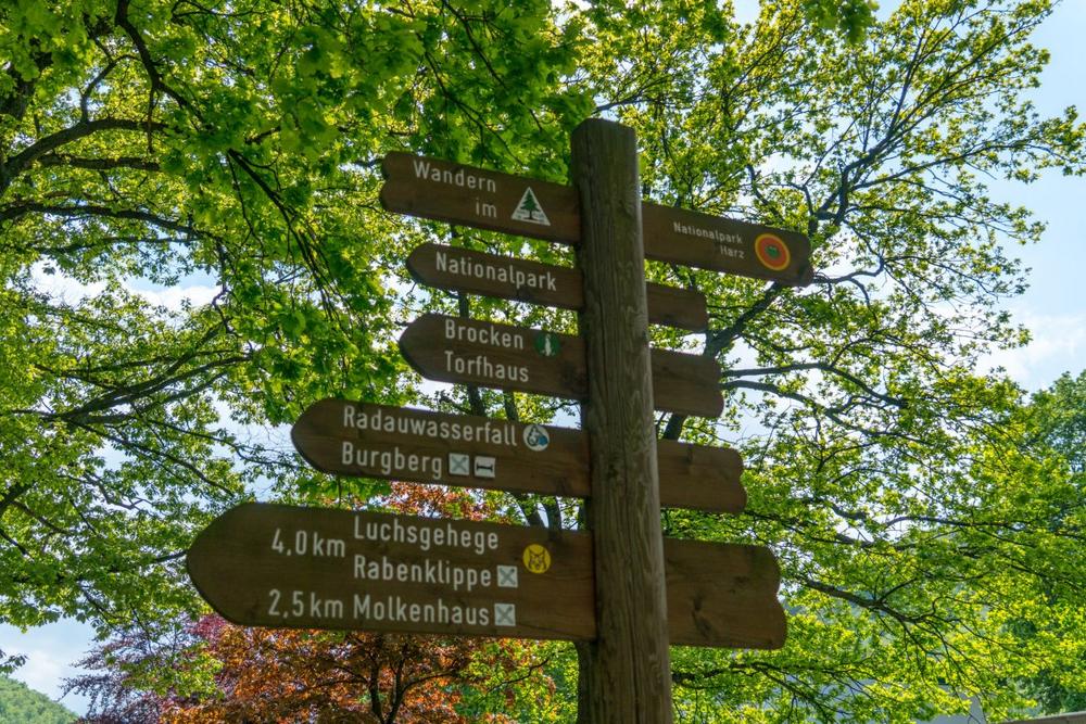 Wanderung entlang des Buchenwaldes