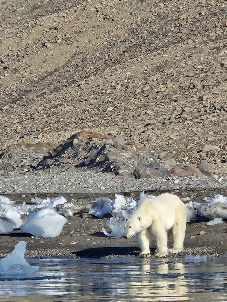 Nordwestpassage erleben: Expeditionskreuzfahrt in der Arktis mit Polaris Tours auf den Spuren historischer Entdecker
