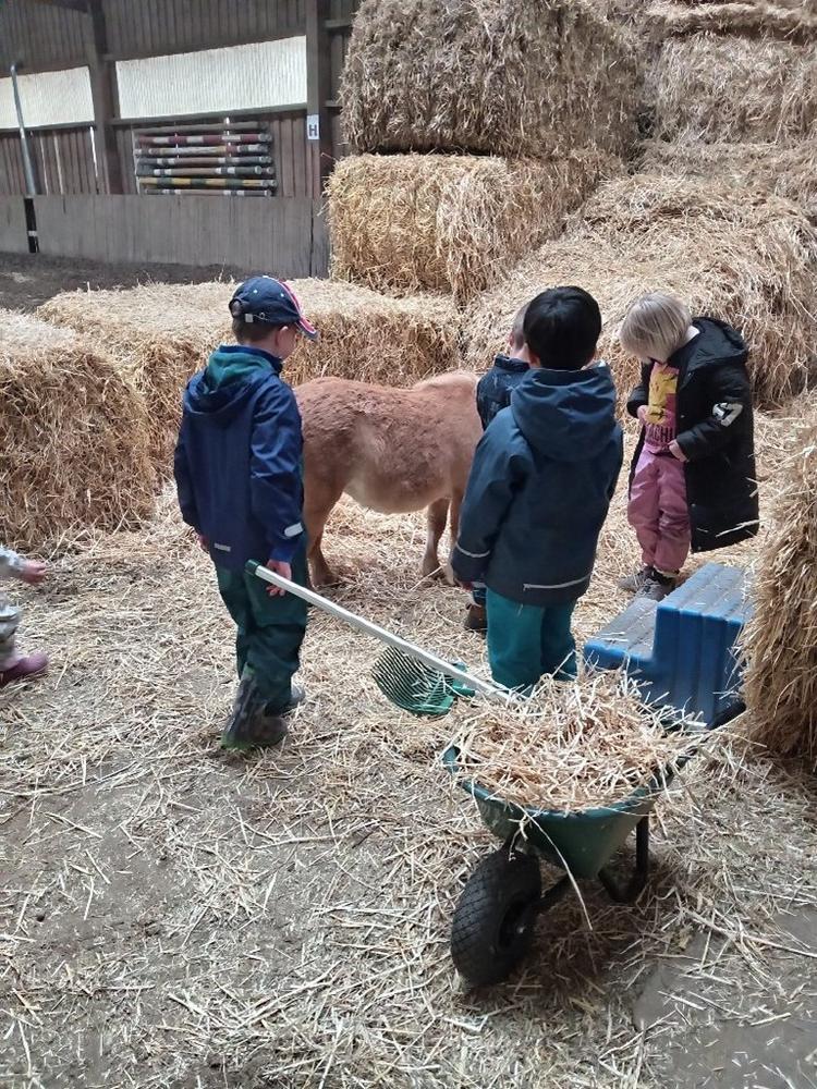 Kooperation von Heilpädagogischer Tagesstätte des Advent-Wohlfahrtswerks mit Erlebnisbauernhof