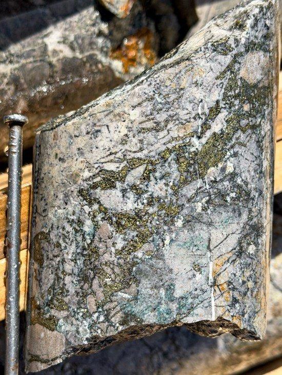 High-grade, Shallow, Copper-Gold-Silver-Molybdenum Discovery in Drill Intercept at Filo Sur Project, Vicuña District, reported by Mogotes Metals