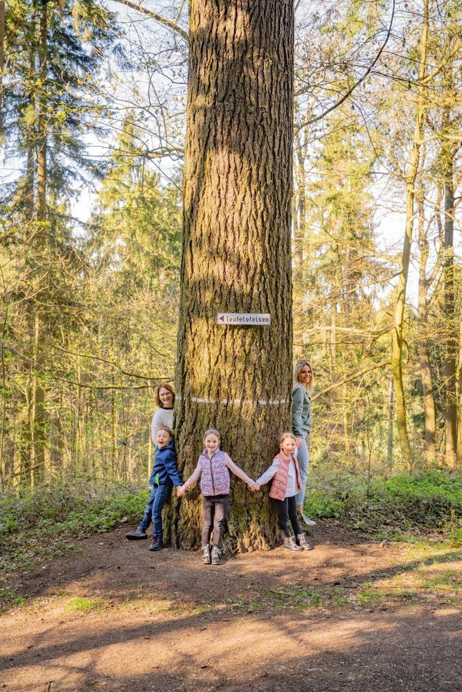 Rätselspaß mit dem kleinen Dachs