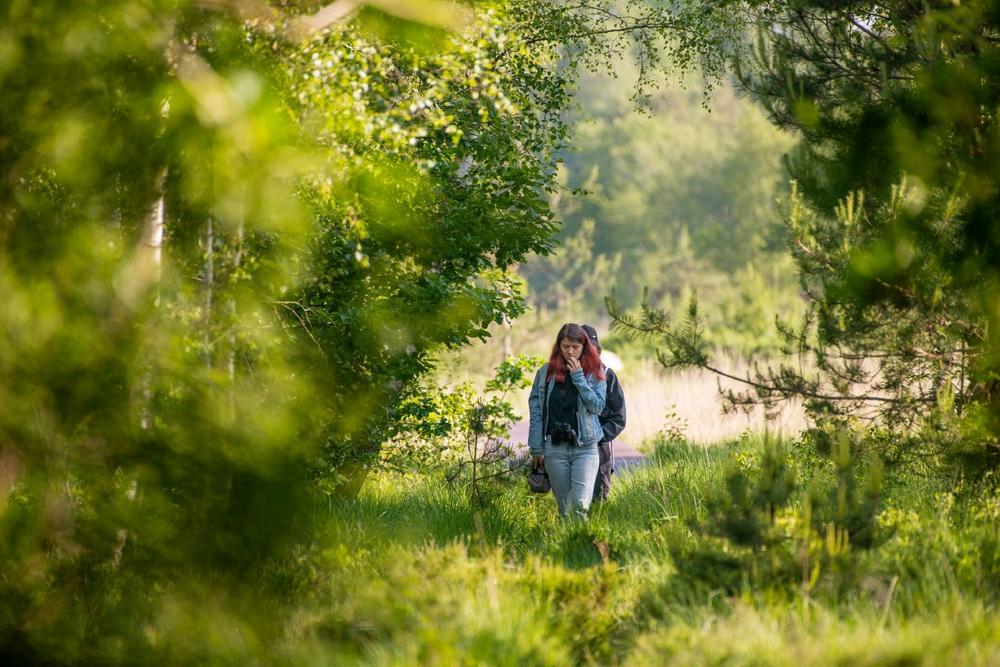 Land Hadeln/Wanna/Ahlenmoor: Waldtage im Ahlenmoor: Exkursionen mit Waldpädagoge Martin Jonas am 28., 29. und 30. Juli den Wald am Moor entdecken