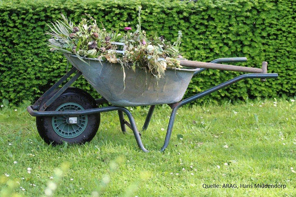 Tag der Nachbarschaft: Was im Garten erlaubt ist