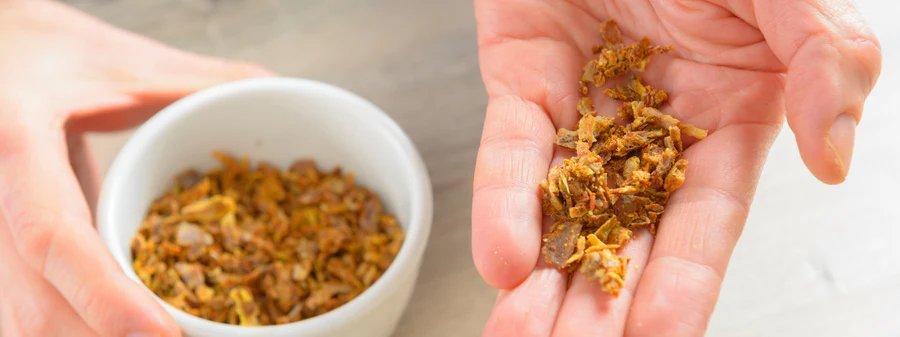Propolis als Forschungsansatz in der modernen Zahnmedizin