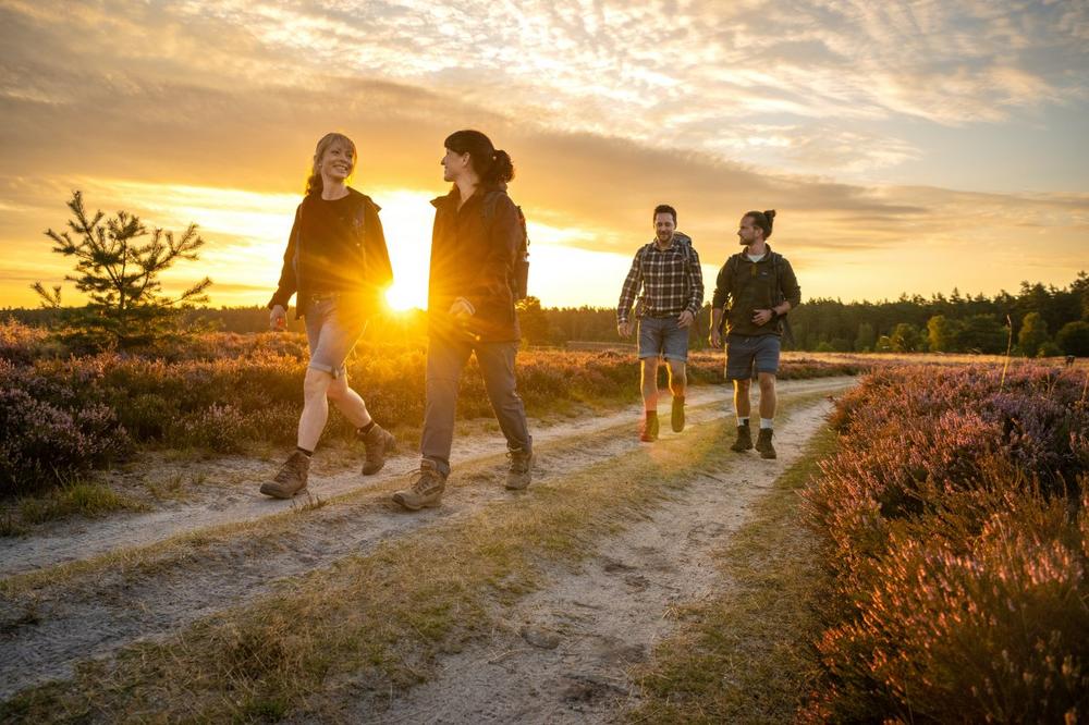 Heide-Idylle ohne Trubel: Jetzt die Vorsaison genießen!