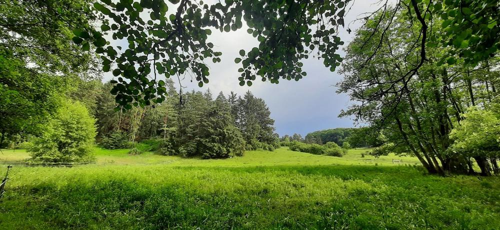 Geoparkführung ins Kohlenbachtal und auf den Salzberg