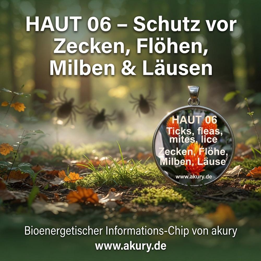Die Zeckensaison läuft auf Hochtouren