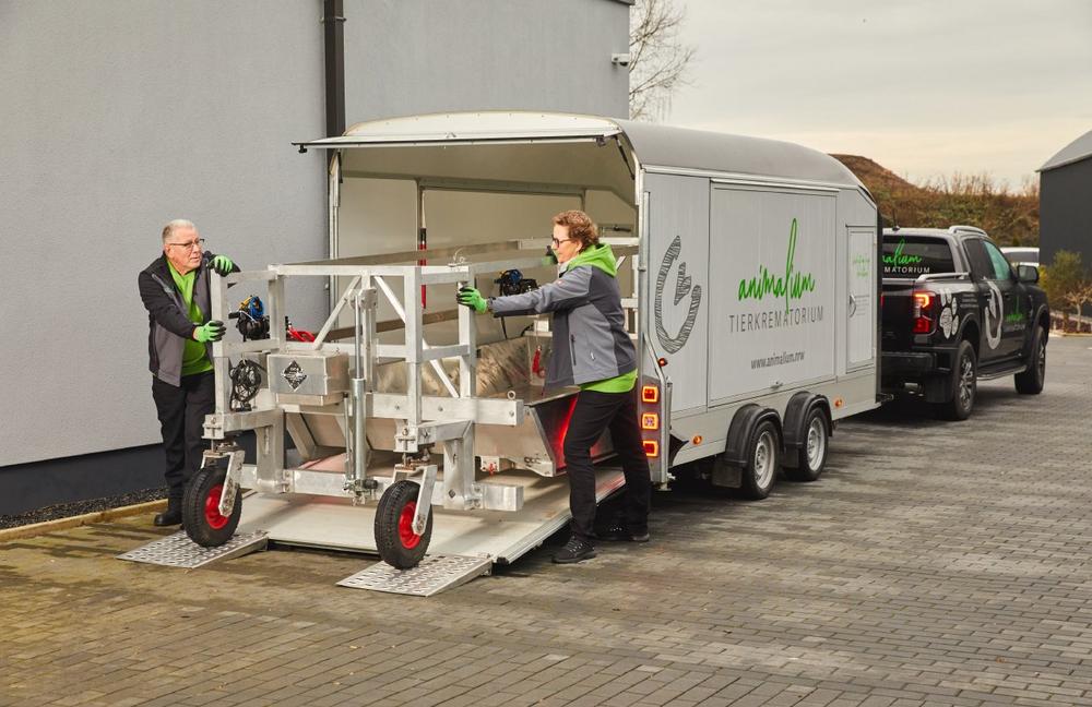 Vorsorge für Pferde – warum man noch zu Lebzeiten einen Plan haben sollte