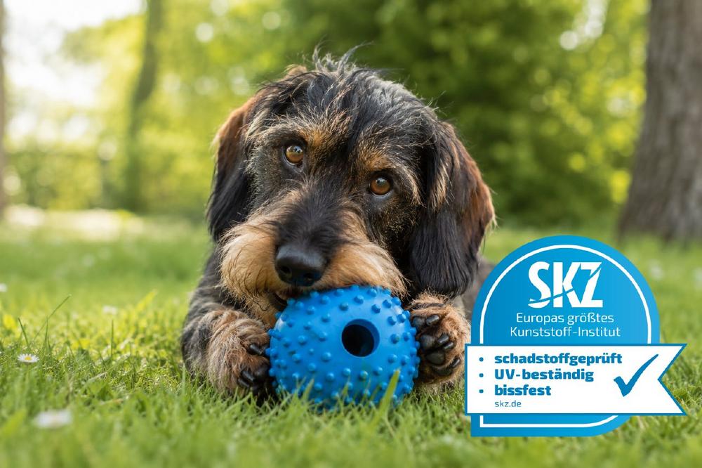 Vor einem Jahr gestartet: SKZ-Prüfsiegel für Tierspielzeuge erfolgreich am Markt etabliert