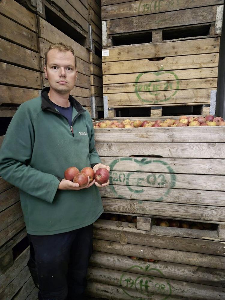 Warum im Alten Land gute Äpfel liegen bleiben
