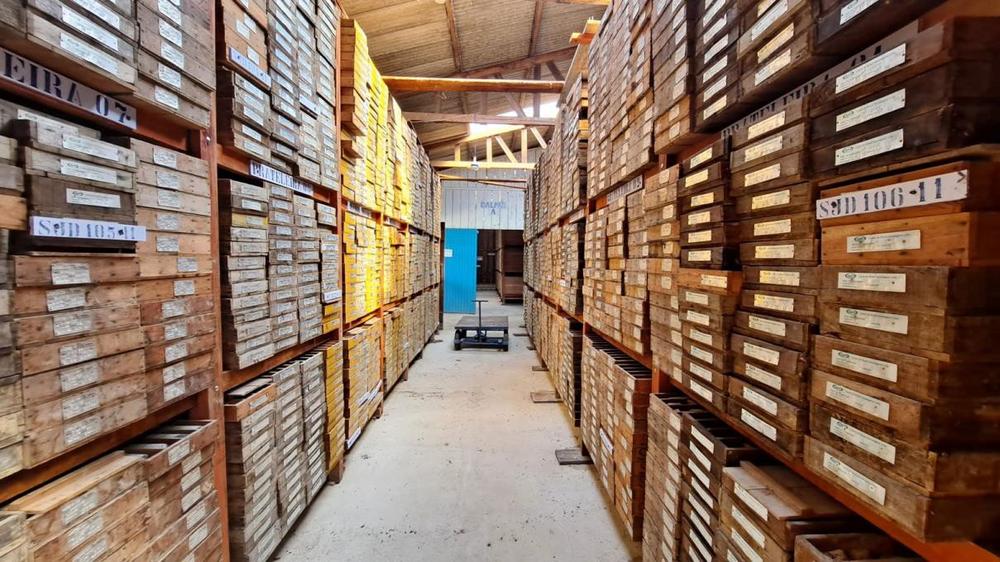 Antimony in Gold Projects