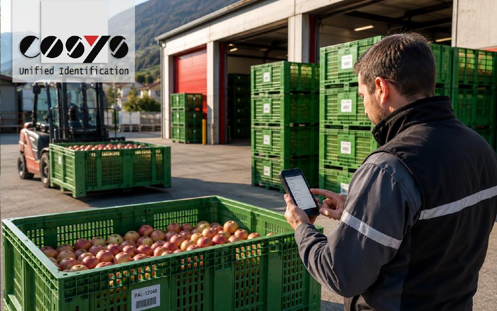 Paloxen rechtzeitig zur Ernte bereitstellen – so gelingt es