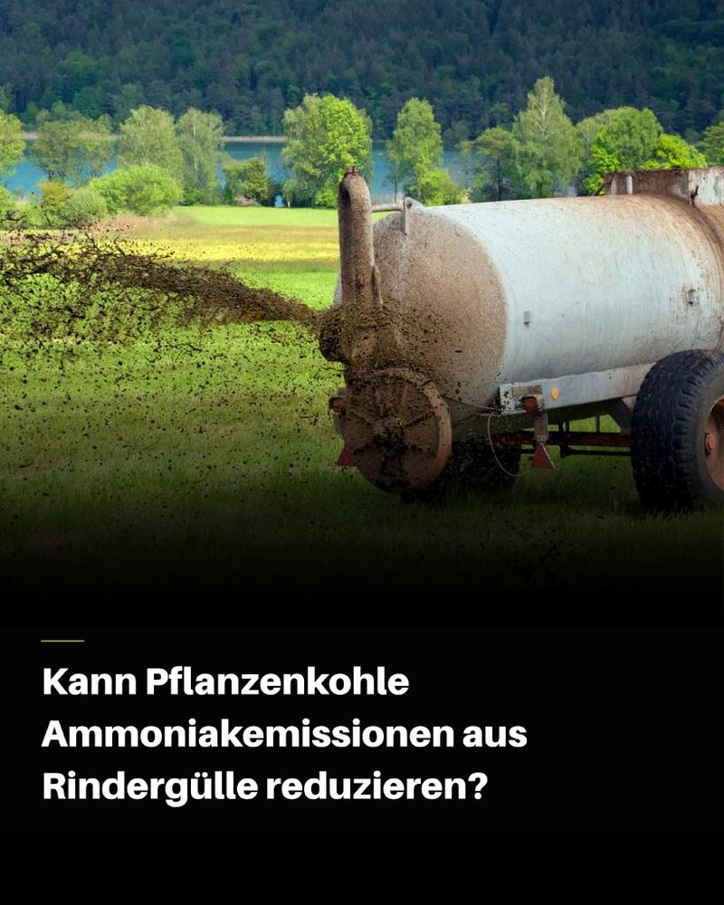 Pflanzenkohle zur Güllebehandlung