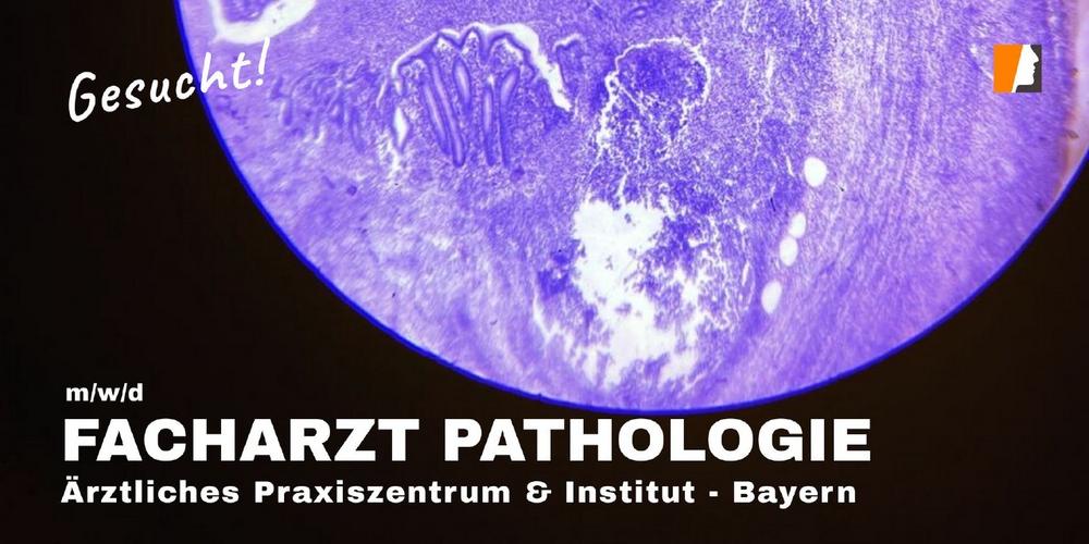 Erfolg, Qualität und Nachfrage schaffen neue Facharztstelle in der Pathologie. Geregelte Arbeitszeiten – Spitzengehalt