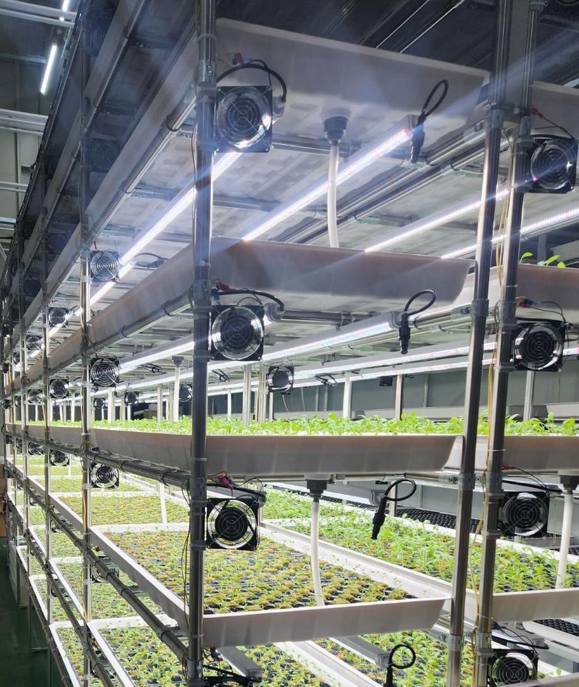 Vertical Farming als Zukunftsmodell: Wie industrielle Prozesse die Landwirtschaft effizienter, nachhaltiger und skalierbarer machen