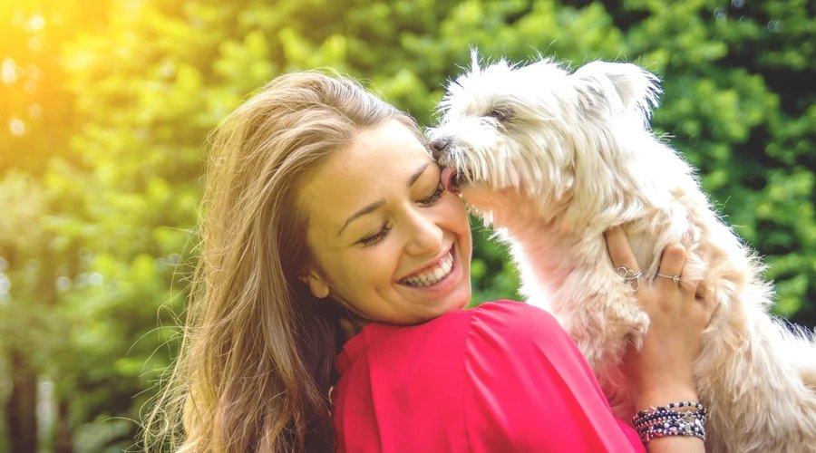 Zwischen Kuschelstunde und Geruchsschock: Mundgeruch beim Hund ernst nehmen
