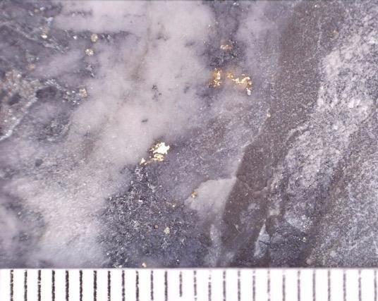 Southern Cross Gold bohrt 0,6 m @ 972 g/t Gold bei Apollo und erbohrt die östlichste Mineralisierung