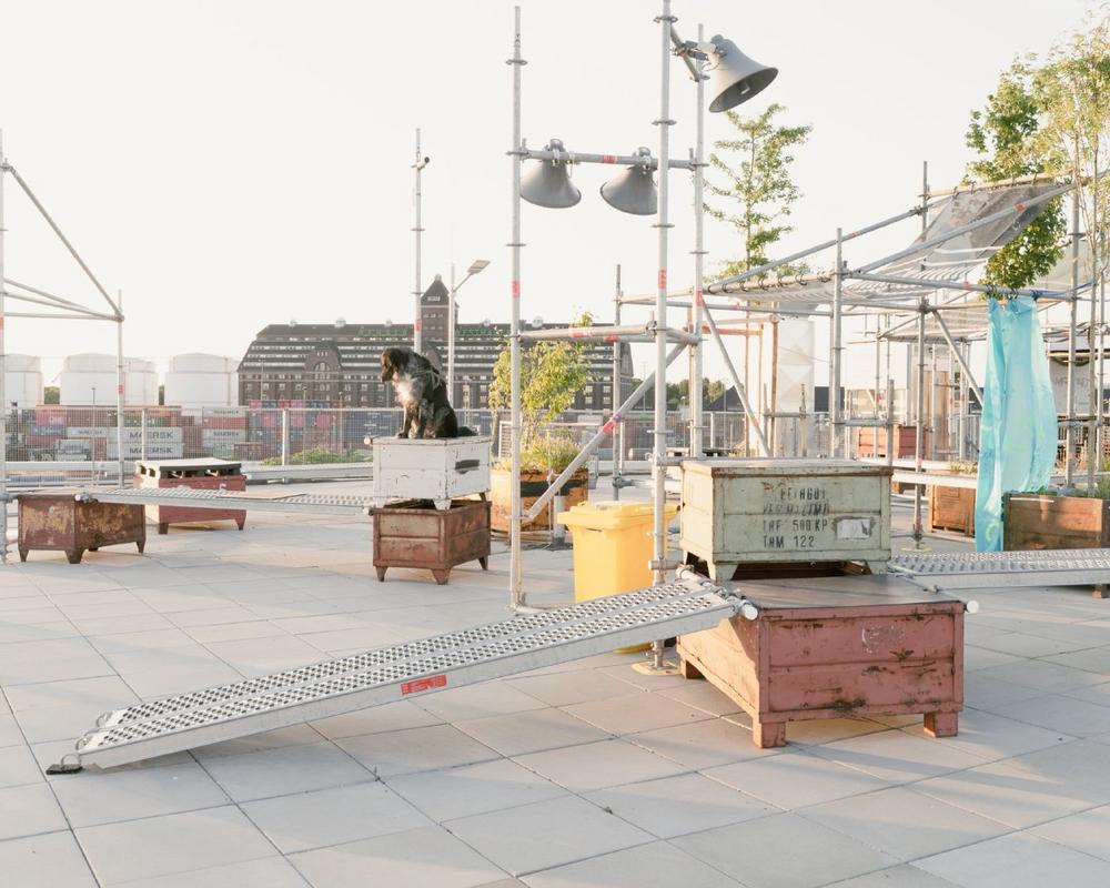 Veranstaltungshinweis Stadt + Vision 48 mit einem Impulsvortrag von Peter Grundmann