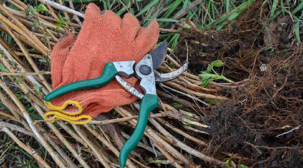 Rost nach dem Sommer: Warum Feuchtigkeit und Rückstände deinem Werkzeug jetzt zusetzen
